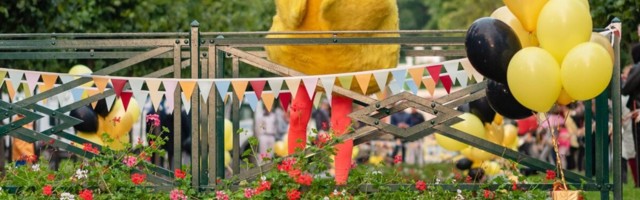 Heategevuslik pardiralli tuleb taas