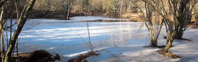Kevadisi hetki märkamas Muhu- ja Saaremaal