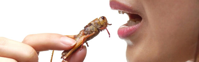 Video: Suur Lähtestamine toob toidulauale putukad