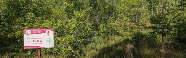 Keelualadele raielubasid väljastanud ärimees-ametnik tegutseb nüüd oma sugulase varjust?