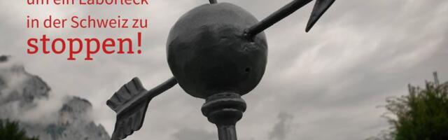 Šveitsi laborilekke peatamise aeg hakkab otsa saama!