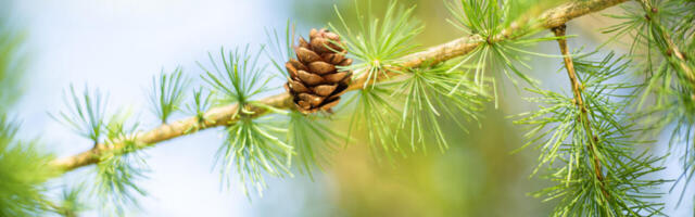 Üha rohkem pärandame me mitte vara, vaid võlgu