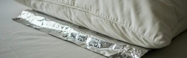 Pane foolium padja alla enne magamaminekut: üllatav põhjus, miks see nipp töötab