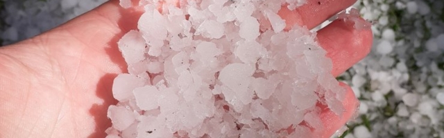 LUGEJATE FOTOD | Pole see suvi midagi nii lähedal. Kesk-Eestis sadas jämedat rahet