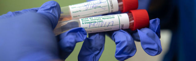 Ravimitootja Pfizer sõlmis USA valitsusega 1,95-miljardilise koroonavaktsiini lepingu