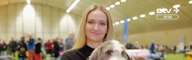 Хозяйка собаки: подготовка питомца к выставке – это большая работа