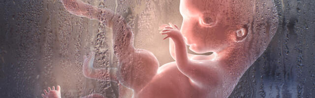 Abort oli 2024. aastal suurim surma põhjus, tapeti üle 45 miljoni sündimata lapse