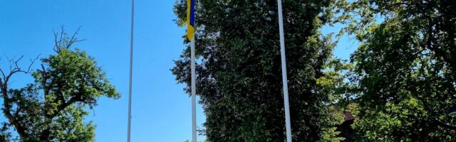 Suurärimees kinkis linnale kaks lipumasti