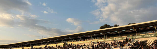 GROBARI, DA LI SU VAŠA DECA OVO ZASLUŽILA? Pre nedelju dana puna Humska, a sada... (FOTO-GALERIJA)