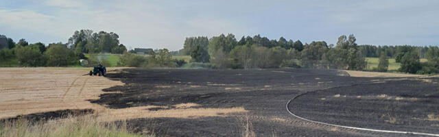 Antsla vallas põles koristatud viljapõld