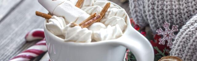 Haaberstis toimub pühapäeval lumejäätise valmistamise võistlus