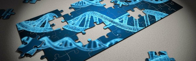 Inimese tervist võivad mõjutada ka elukaaslase geenid