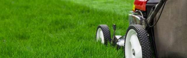 ŠOKEERIV UURING: 27% eestlastest ei kavatse sel suvel üldse muru niita