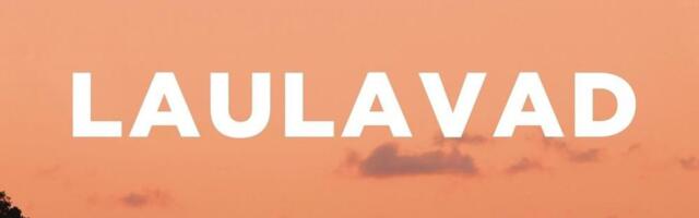 Jõhvi raamatukogu lugejate menuk oli mullu "Kus laulavad langustid"