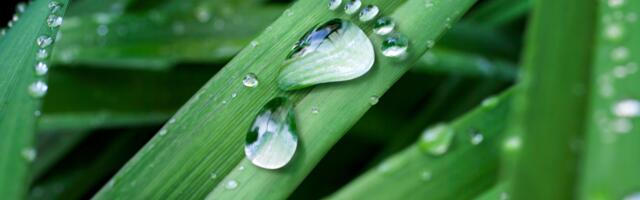 5 lihtsalt nõuannet, mis aitavad vähendada sinu süsinikujalajälge