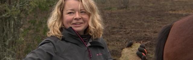 Hundid hirmutasid Harjumaal Muuksis asuvat talu