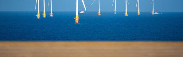 Court: “Because Trump said to” may not be a legally valid defense