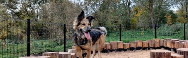 Tartus ootab jalutajaid uus koerteväljak