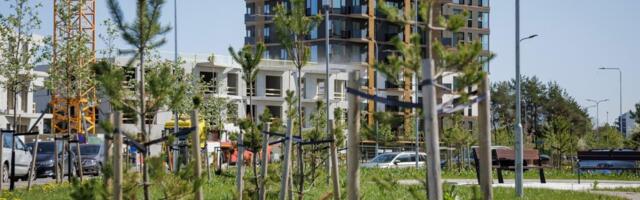 Kinnisvarahiidude mõttepaus lubab löögile ka väiketellijad