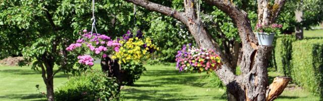 Põhja-Sakala valla "Kaunis Kodu 2024" konkursi tulemused selgunud