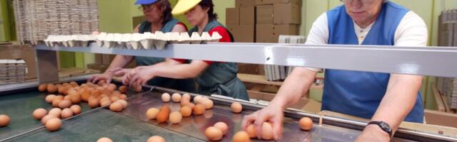 Munade tootmine suurenes, tarbimine pöördus langusesse