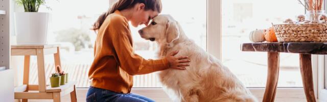 28. veebruar: Neitsi leiab hea rahaallika, Kaljukits teeb kõik, et enda tahtmist saada