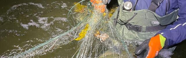 Keskkonnaamet alustab lõhejõgedel tihendatud kontrollidega