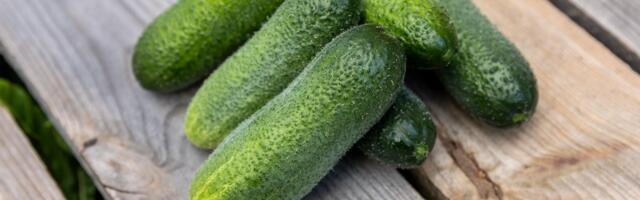 TURUKOMMENTAAR | Kurkide hind on korralikult tõusnud