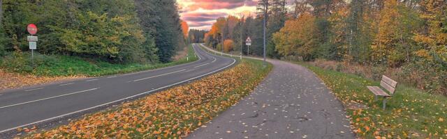 Väikevend NÄDALA FOTO